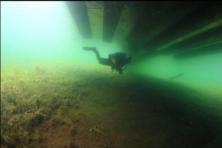 under a dock