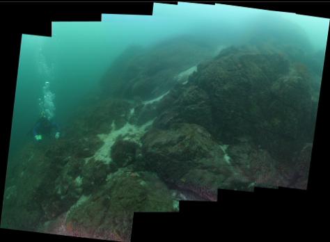 ANOTHER PANORAMA