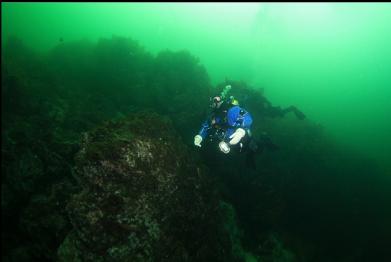 swimming back to ledge above wall