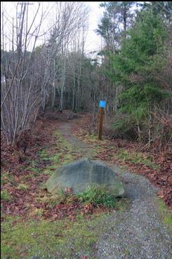 START OF TRAIL