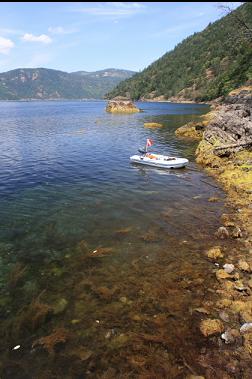 looking up Inlet to rock