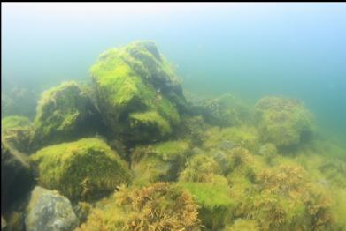 shallows at edge of bay