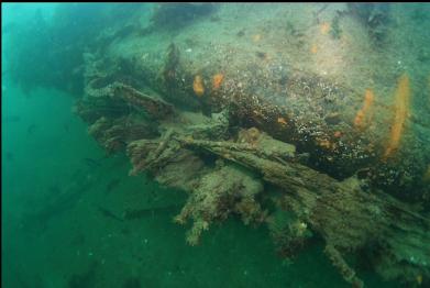 metal tank and side of hull