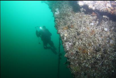 diver next to bow