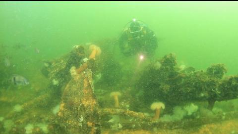 debris on the drydock