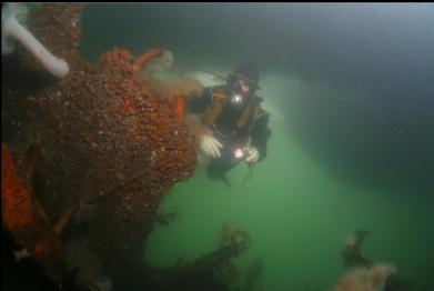 wreckage below docks