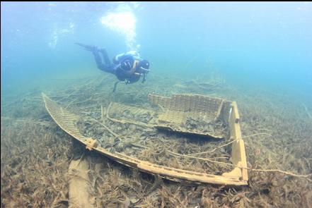 ancient viking longship