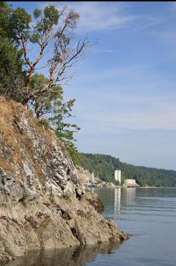 old cement plant in distance