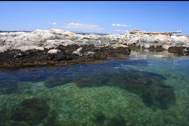 approaching islet