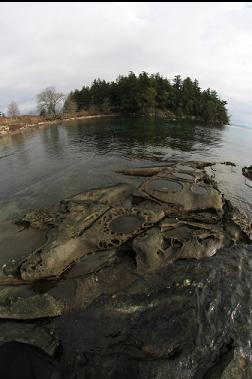 sandstone and Coffin Point