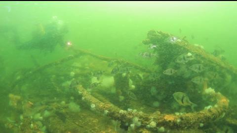 perch on the drydock