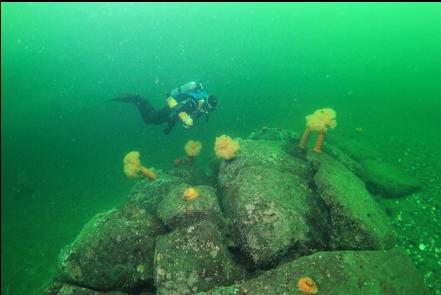 pile of boulders