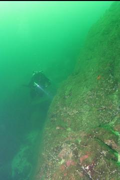 NEXT TO SLOPING WALL