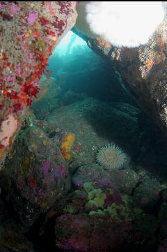 INSIDE MINI-CAVERN