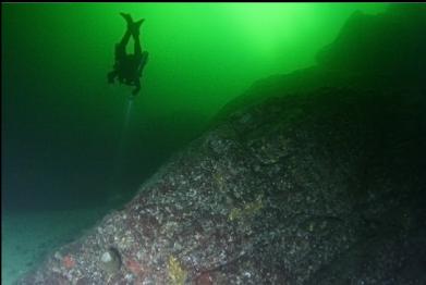 above boot sponge