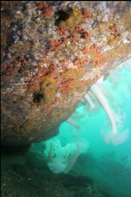 under overhang