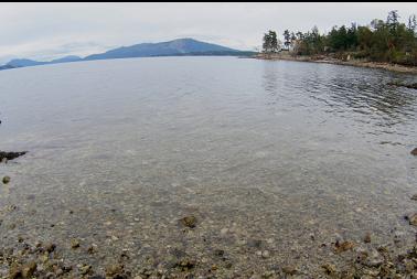 LOOKING OUT FROM BEACH