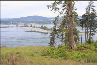 view of spit from road