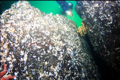 camera looking up at cloud sponge in crack