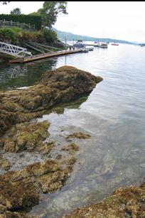 SWIM AROUND THE POINT TO THE ISLAND