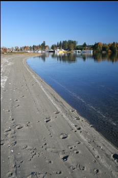 LOOKING ALONG BEACH TOWARDS MARINA