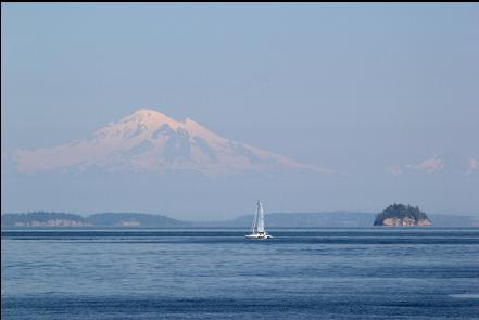 view from the beach