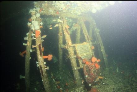 the stand under the plane