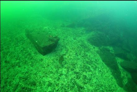 large rectangular boulder