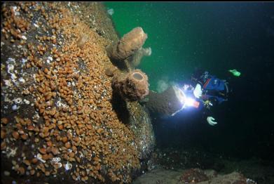 welding boot sponges