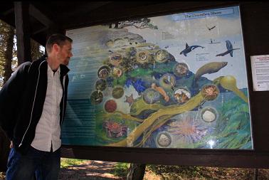 marine life sign at Drumbeg Park