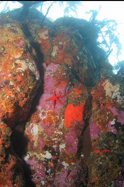 shallow wall under boat