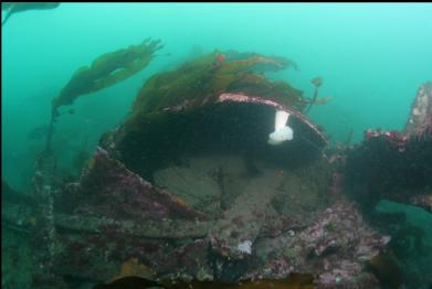 looking at opening to stern tube