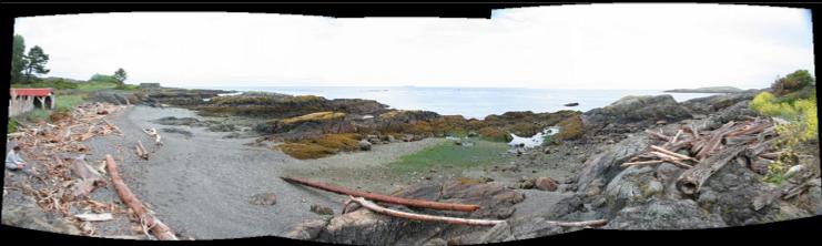 panorama of beach