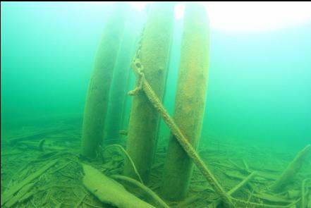 pilings and chain