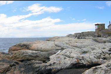 SHORELINE WITH WW2 LOOKOUT