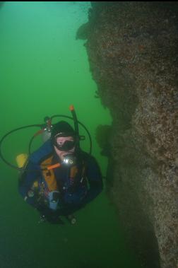 SWIMMING NEXT TO WALL