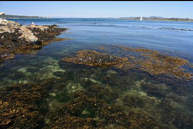 shallows near islet 