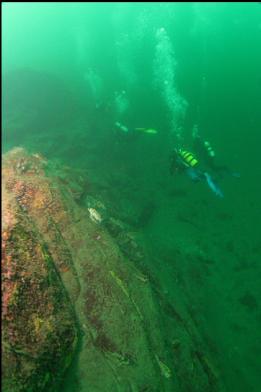 divers at base of wall