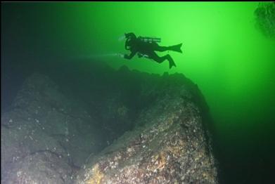 cloud sponge in middle of picture