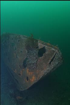BOW OF DEEPER HULL