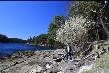 Drumbeg Park shoreline