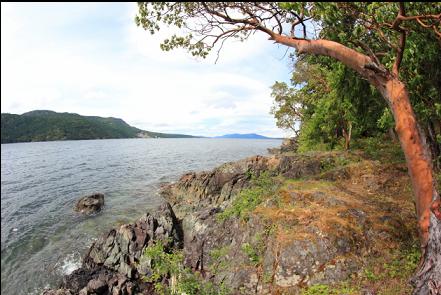 shoreline
