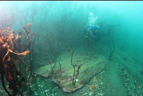 flat piece of fiberglass-covered wreckage