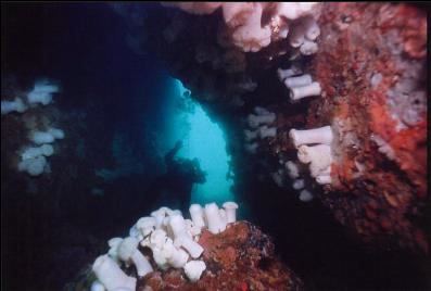 DIVER IN TUNNEL