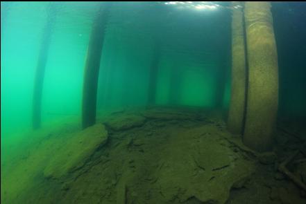 under the dock