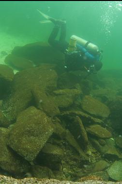 rocks in shallows next to Coffin Point