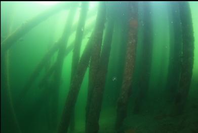 pilings