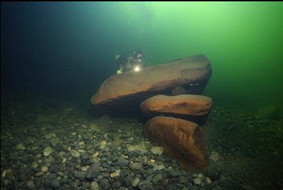 boulders on the bottom of the river