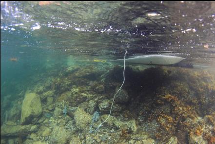 the rocky slope under my anchored boat