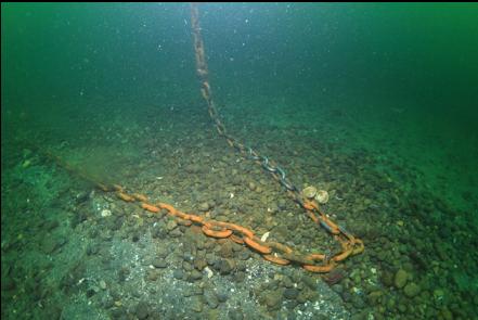 mooring buoy chain 